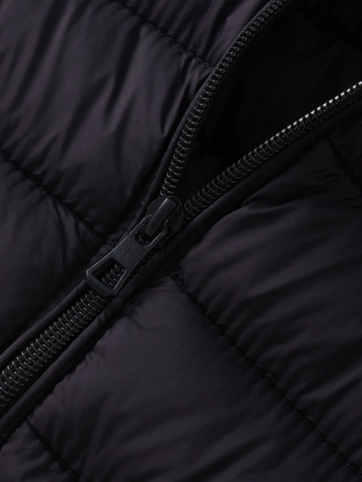 Vivienne | Lightweight Stand-Collar Puffer Jacket by My Store